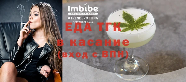 хмурый Пересвет