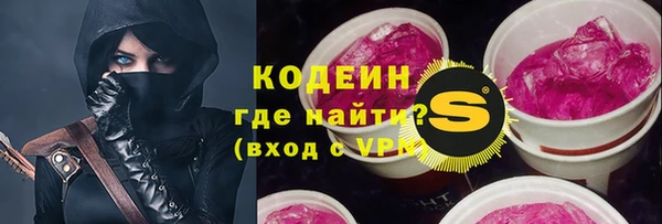 хмурый Пересвет