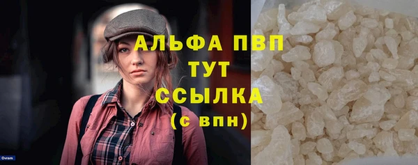 хмурый Пересвет