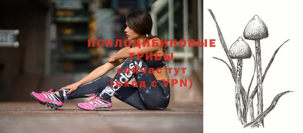 гидропоника Переславль-Залесский