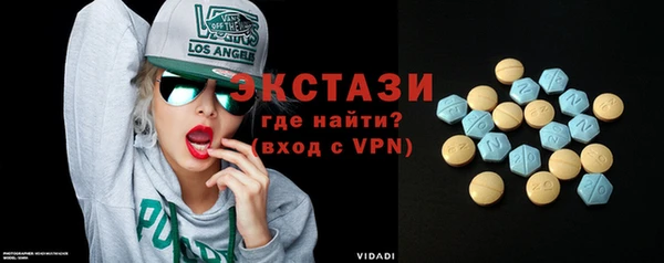 хмурый Пересвет