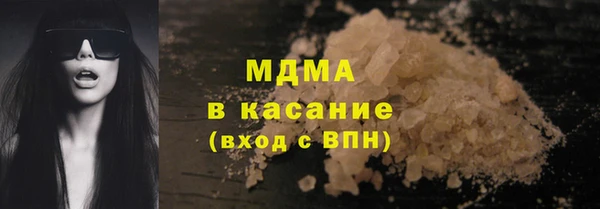 хмурый Пересвет