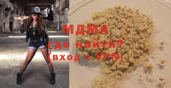 хмурый Пересвет
