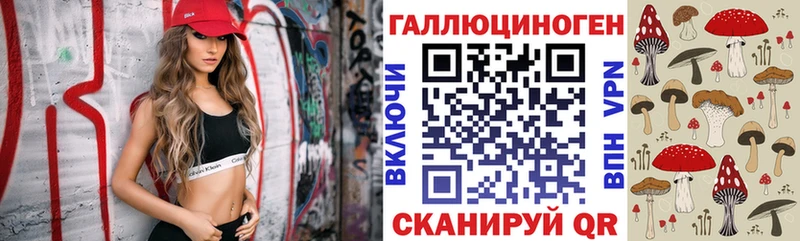 Псилоцибиновые грибы GOLDEN TEACHER  купить   Козельск 