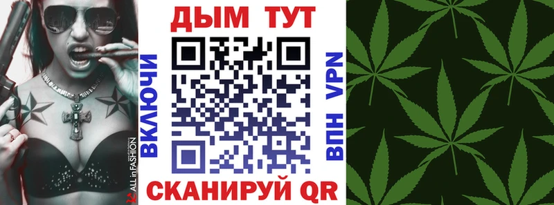 Каннабис SATIVA & INDICA как найти Козельск